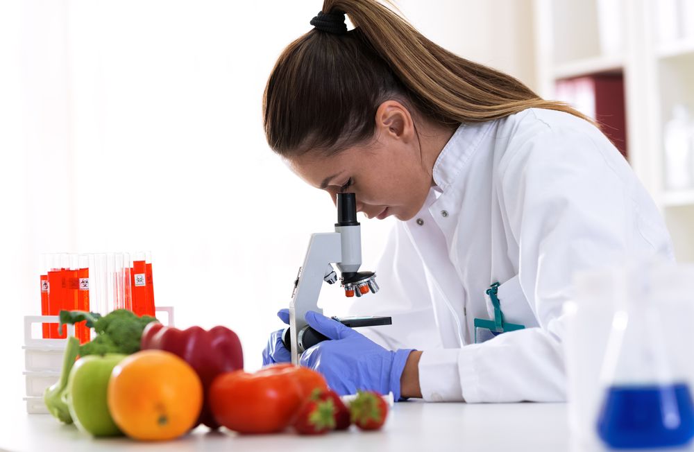 Лабораторные исследования продуктов питания, стоимость в Сочи